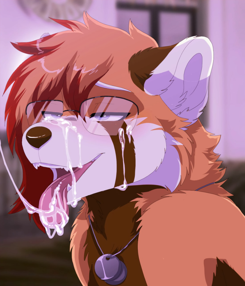 ailurid anthro bodily_fluids cum cum_drip cum_in_mouth cum_inside cum_on_face cum_trail cumshot dog_tags dripping ejaculation eyewear genital_fluids glasses hi_res kneeling kouki_(athelwah) lawkie male male/male mammal red_panda solo tongue tongue_out wearing_glasses