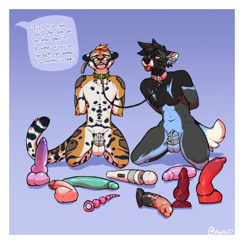 2boys anal_beads animal_genitalia anthro arms_behind_back balls bondage bound_together canine chastity collar dildo duo english_text feline gay hands_behind_back kneeling leash linked_collar male malesub mammal multiple_subs nude orgasm_denial rokemi sex_toy sheath submissive text toy_selection vibrator