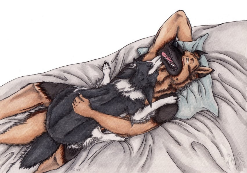 2023 ambiguous_gender anthro anthro_on_feral bed black_body black_fur border_collie canid canine canis closed_eyes collie dated domestic_dog duo fangs feral fur furniture german_shepherd herding_dog kola_(artist) lying male male/ambiguous mammal nude on_back on_bed open_mouth orange_body orange_eyes orange_fur pastoral_dog pink_tongue sheepdog teeth tongue tongue_out white_body white_fur zoophilia