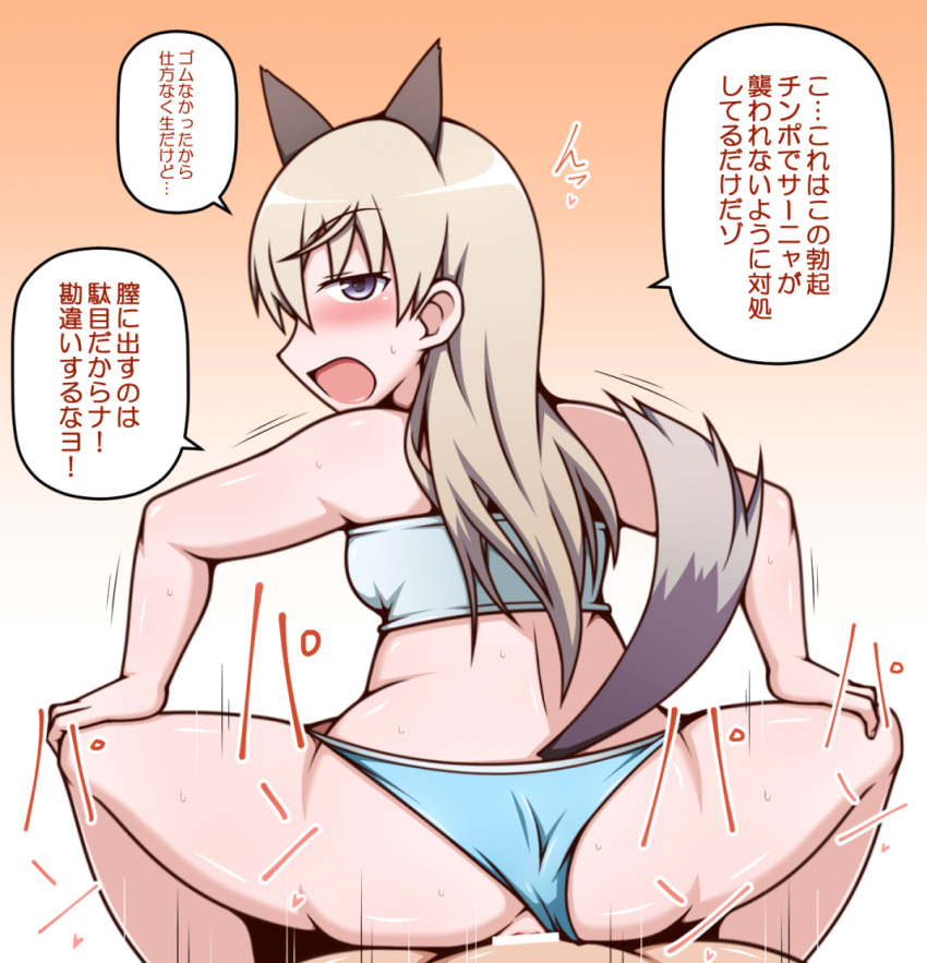 1boy animal_ears ass bikini blue_bikini blush censored eila_ilmatar_juutilainen female fox_ears girl_on_top gradient gradient_background looking_back open_mouth orange_background purple_eyes sex simple_background straight strike_witches swimsuit tail translation_request vaginal_penetration white_hair world_witches_series yagen_sasami