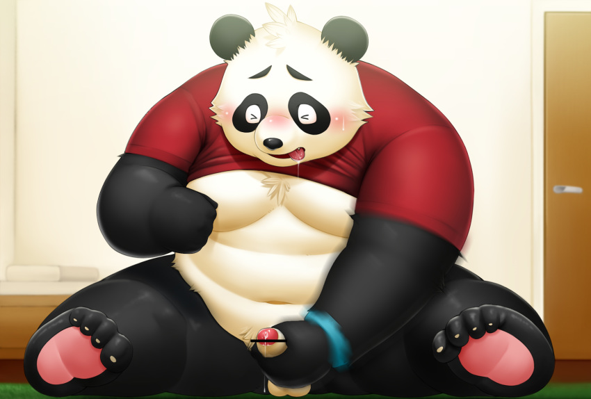 2016 anthro balls bear belly blush closed_eyes cum drooling male male_only mammal masturbation moobs noko_illust overweight overweight_male panda penis saliva sitting solo