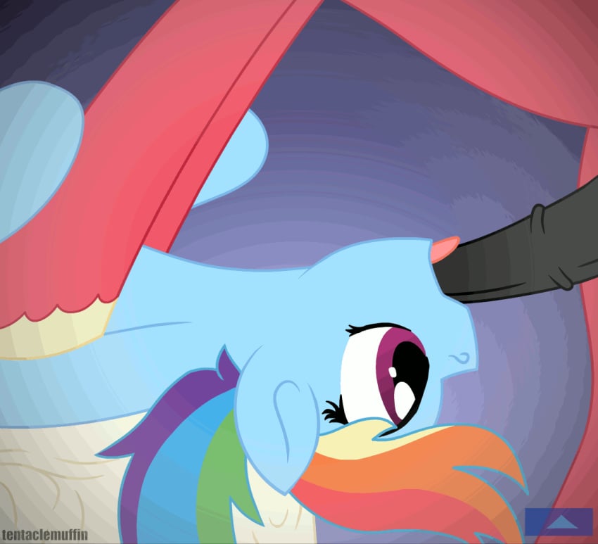 animated big_macintosh_(mlp) deepthroat face_fucking fellatio friendship_is_magic my_little_pony oral penis rainbow_dash_(mlp) smooth_skin tentacle-muffins throat_bulge throat_swabbing