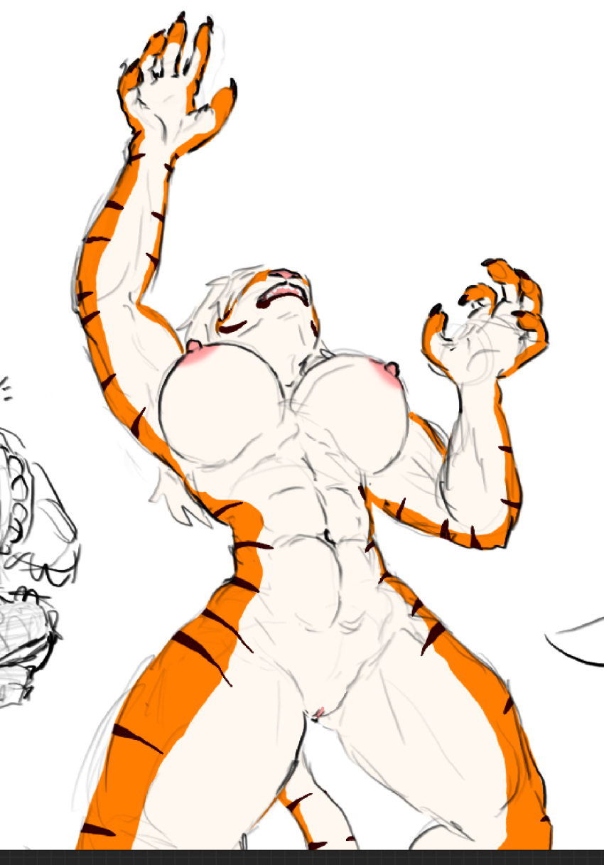 abs anthro breasts falling felid female genitals hi_res mammal muscular muscular_female nipples nude open_mouth pantherine pink_nipples pussy shybird sketch_page solo tiger