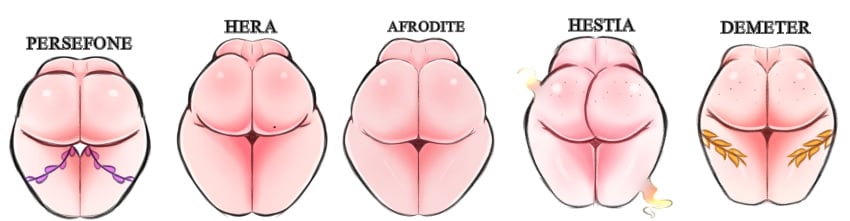 5girls afrodita aphrodite ass ass_comparison ass_focus ass_size_chart big_ass demeter european_mythology freckles freckles_on_ass greek_mythology hera hera_(greek_mythology) hestia hestia_(greek_mythology) huge_ass light-skinned_female light_skin multiple_girls mythology over-draws overdraws(artist) persephone tagme twitter_link uncensored