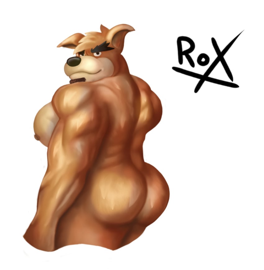 1boy anthro anthro_only ass back back_muscles bandicoot bara bara_ass bara_tiddies bara_tits barazoku beard big_ass big_butt big_muscles crash_(series) crunch_bandicoot facial_hair huge_ass male male_only marsupial muscular muscular_anthro muscular_back muscular_male orange_fur roxds93 self_upload simple_background smile smiling solo white_background