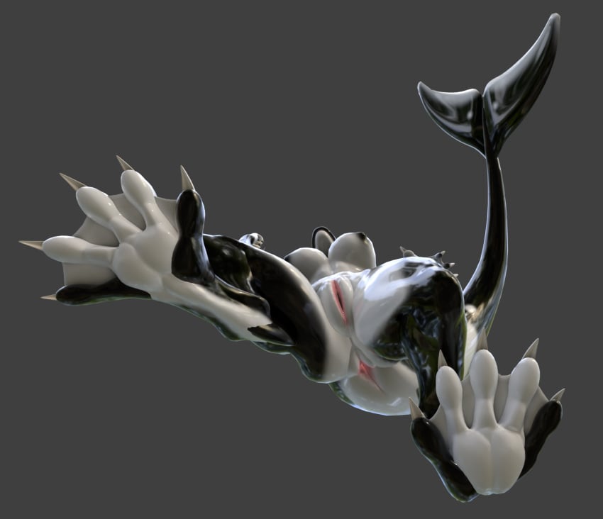 3d anthro anus breasts cetacean claws digital_media_(artwork) dolphin feet female genitals hi_res low-angle_view mammal marine membrane_(anatomy) oceanic_dolphin orca pussy solo tail toe_claws toes toothed_whale webbed_feet zealotdkd