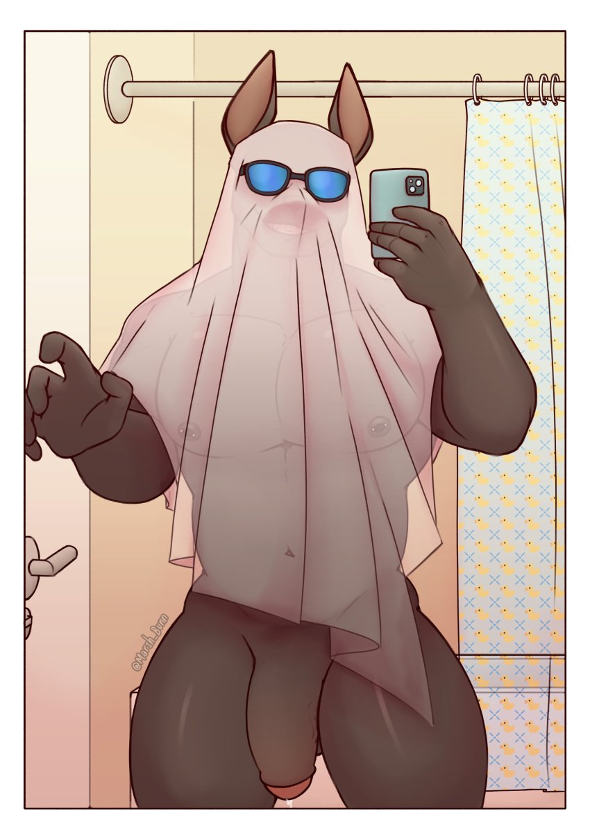 absurd_res anthro bathroom bedding big_penis blanket canid canine canis clothing costume dobermann domestic_dog eyewear genitals hi_res male male/male mammal marsh_bunn muscular nipple_piercing nipples nude penis piercing pinscher selfie solo solo_focus sunglasses translucent