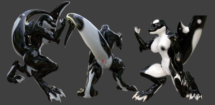 3d anthro anus breasts cetacean claws crouching digital_media_(artwork) dolphin feet female genitals hi_res mammal marine membrane_(anatomy) oceanic_dolphin orca pussy raised_tail rear_view solo tail toe_claws toes toothed_whale webbed_feet zealotdkd