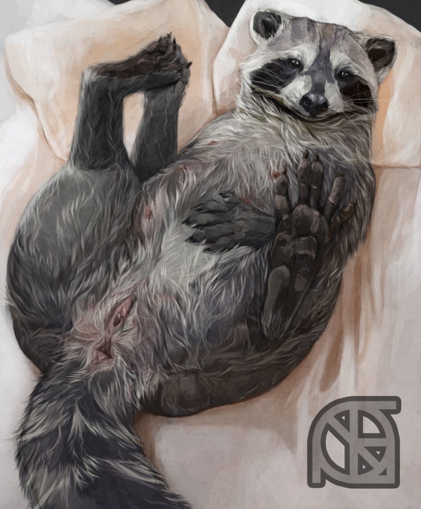 anus bed claws clitoris cosmiclife female feral flat_chested hi_res holding_feet looking_at_viewer mammal multi_nipple nipples paws pinup pose presenting presenting_anus presenting_pussy procyonid pussy raccoon semi-anthro solo spread_legs spread_pussy spreading teats whiskers