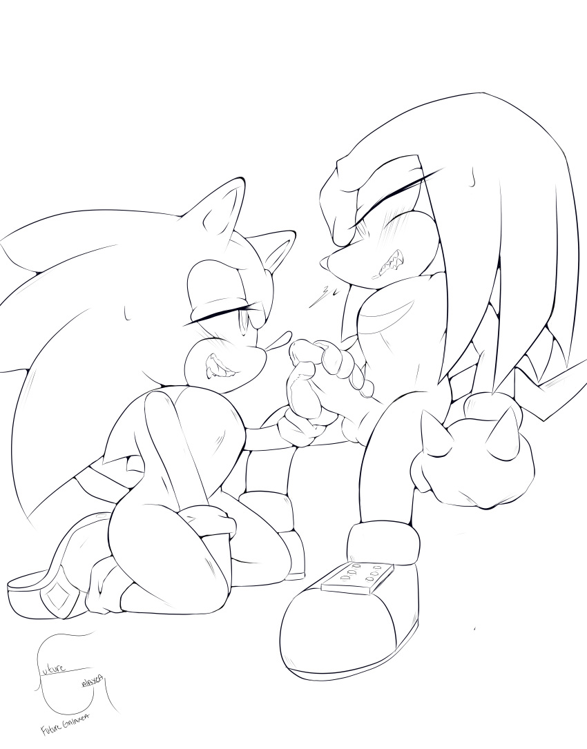 balls futuregalaxea gay handjob knuckles_the_echidna male_only on_knees penis sonic_(series) sonic_the_hedgehog sonknux sweat