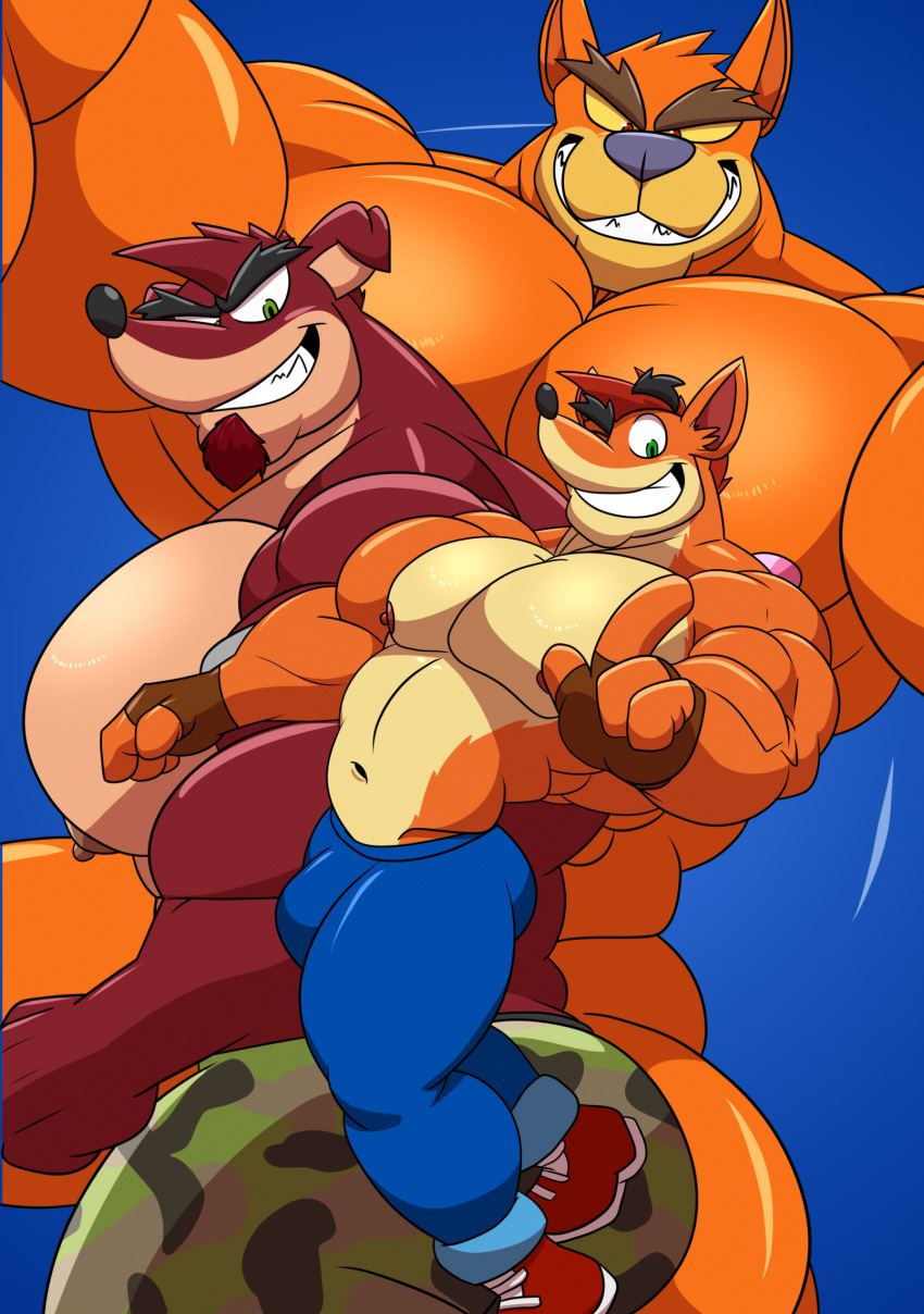 Crash Bandicoot (Crash (Series)) Rule 34 Image