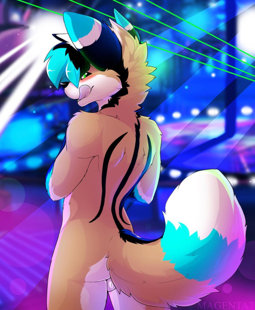 anthro ass backsack balls blue_fox blue_hair canine cute fennec fox girly green_eyes hair jyra_foxx licking licking_lips magenta7 male mammal rear_view red_fox smaller_version_at_source solo strip_club stripper tongue tongue_out