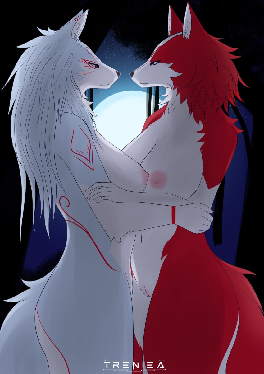 absurd_res anthro ass border_collie canid canine canis collie domestic_dog duo eye_contact female female/female fur fur_markings genitals herding_dog hi_res hybrid looking_at_another mammal markings moon night nipples pastoral_dog pussy scarlett_valita sheepdog treniea wolf