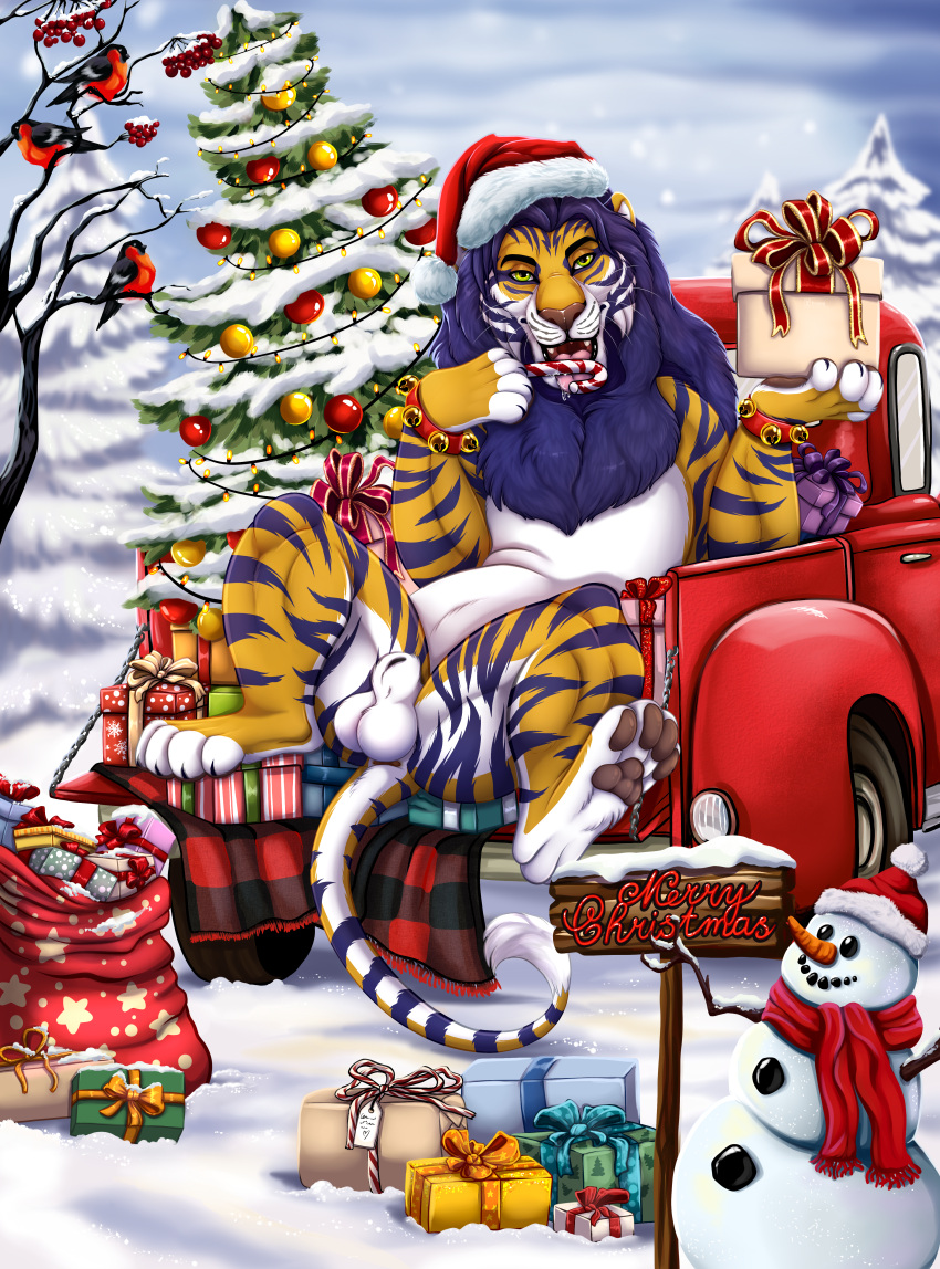 absurd_res anthro ball balls bethesda_softworks car christmas christmas_tree felid feral fur furniture genitals hi_res holidays hybrid khajiit kovu_muabdib liger male mammal nude outside pantherine plant sky snow snowman solo the_elder_scrolls tiger tree vehicle xtreme3246