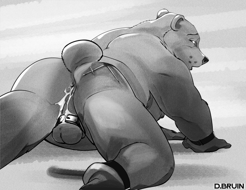 after_anal all_fours ankle_cuffs anthro anus artist_name ass balls bear black_and_white bodily_fluids butt_focus butt_tattoo chastity_cage chastity_cage_only chastity_device cuff_(restraint) cum cum_drip cum_in_ass cum_inside cum_on_butt dbruin digital_media_(artwork) dripping duo ears_back genital_fluids genitals looking_back male male/male mammal monochrome moobs nude on_ground overweight overweight_male pivoted_ears presenting presenting_hindquarters rear_view restraints simple_background snow_the_bear spread_legs spreading submissive submissive_male tattoo whisker_spots white_background