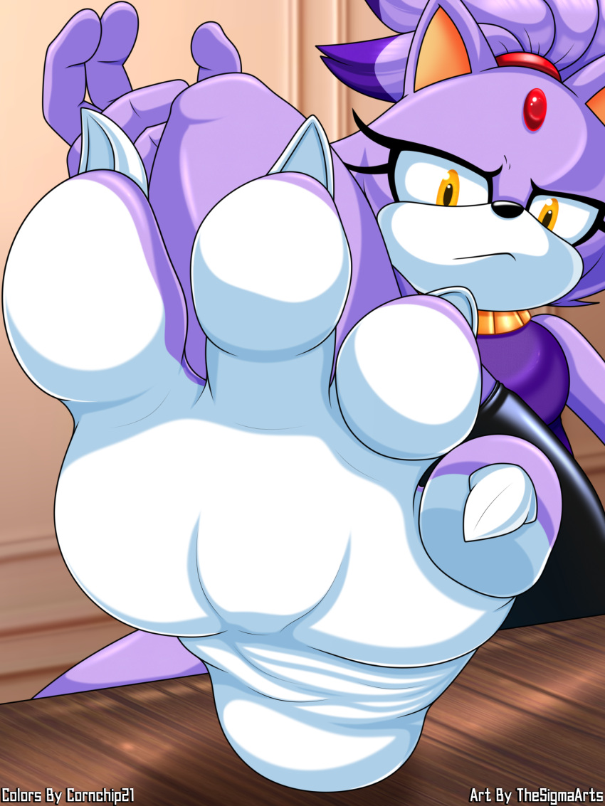 4_toes anthro blaze_the_cat claws cornchip21 countershade_feet countershading feet female foot_fetish foot_focus hi_res looking_at_viewer sega sharp_toenails soles solo sonic_(series) sonic_the_hedgehog_(series) thesigmaarts toe_claws toes