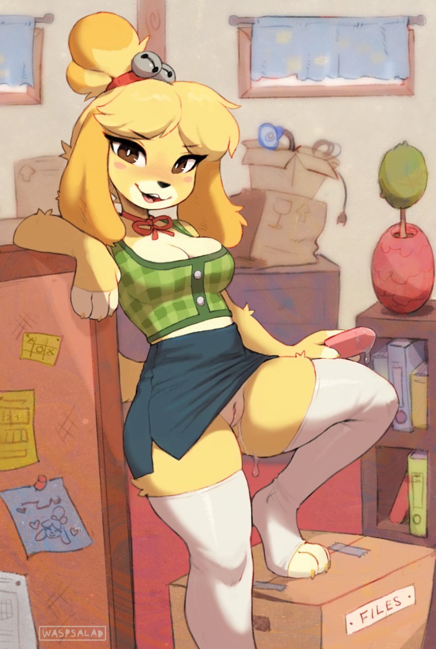 1girls 2024 animal_crossing anthro bell blush bodily_fluids bottomless bottomless_skirt bottomwear bow_ribbon breasts canid canine canis cleavage clothed clothing clothing_lift domestic_dog eraser female genital_fluids genitals hi_res isabelle_(animal_crossing) legwear mammal nintendo no_panties office paws pussy pussy_juice skirt smile smiling_at_viewer solo thigh_highs toeless_legwear upskirt waspsalad