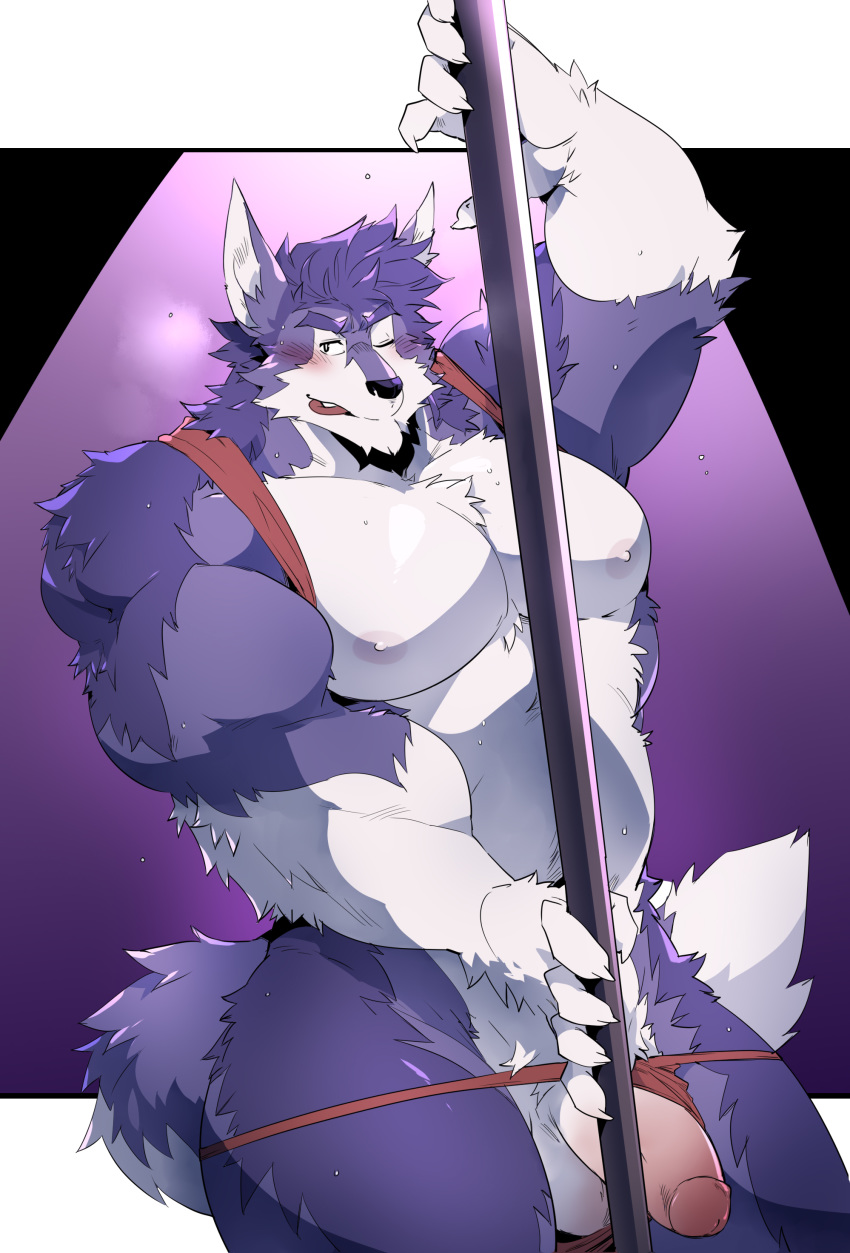 absurd_res blush caleb_(kokuhane) canid canine canis dancing fur hi_res humanoid_penis kokuhane looking_at_viewer male male/male mammal nude penis pole pole_dancing purple_fur stripper wolf