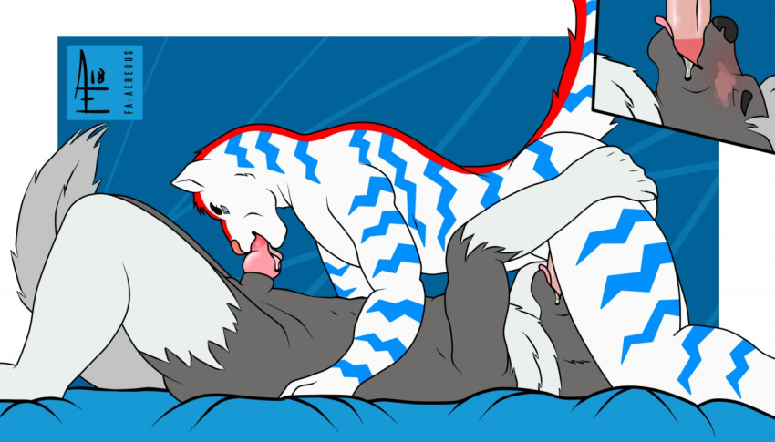 69_position aereous anthro ass balls canine cum duo erection feline fellatio fur hi_res humanoid_penis male mammal nude open_mouth oral penis precum sex tongue tongue_out white_fur wolf yaoi