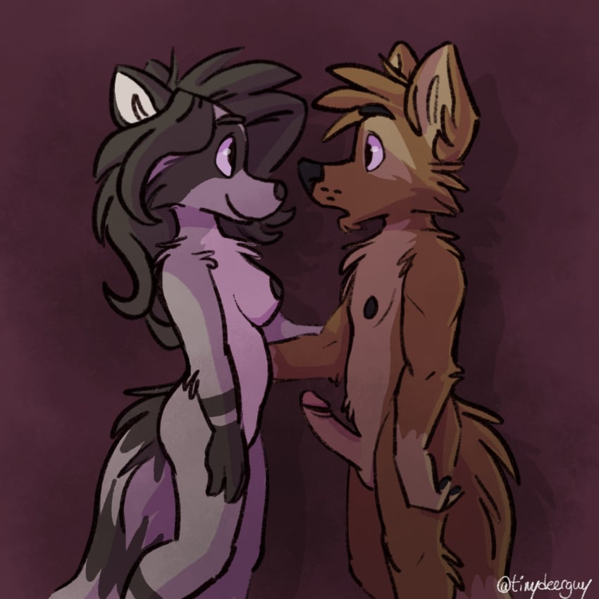 anthro arousal aroused black_hair black_nipples breasts brown_fur canine cute duo erection female fur grey_fur hair hi_res humanoid_penis lady_(tinydeerguy) love male mammal matt_riskely nipples nude penis procyonid raccoon tinydeerguy white_fur