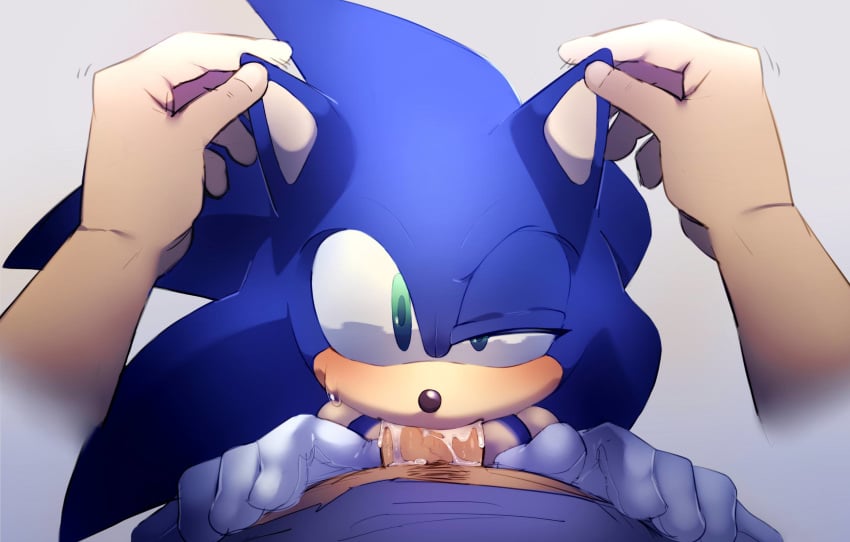 7mii blush cum cum_in_mouth fellatio gay hedgehog human looking_at_viewer oral pov sonic_(series) sonic_the_hedgehog