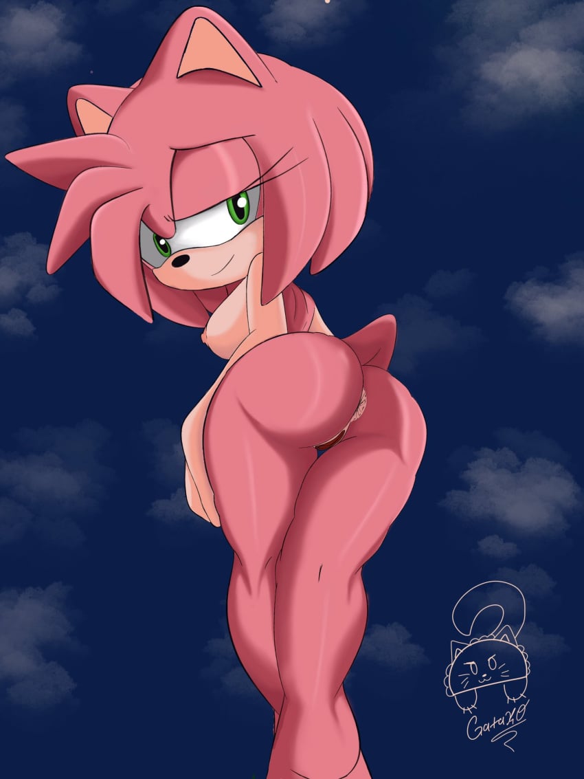 1girls amy_rose anus ass breasts female furry gatako_art looking_back nude_female pussy sega sonic_(series)