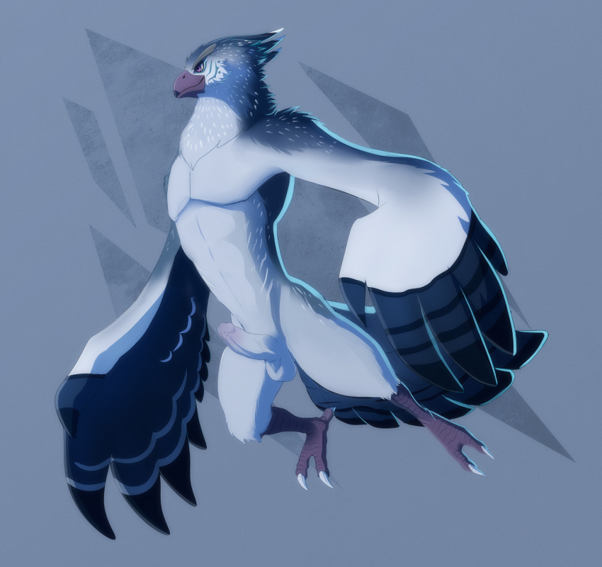 1boy 2018 anthro avian balls beak bird breath_of_the_wild digital_media_(artwork) erection essence_of_rapture fan_character feathers humanoid_penis male male_only nintendo nude penis rito simple_background smile solo the_legend_of_zelda vari_(yufuria) video_games wings