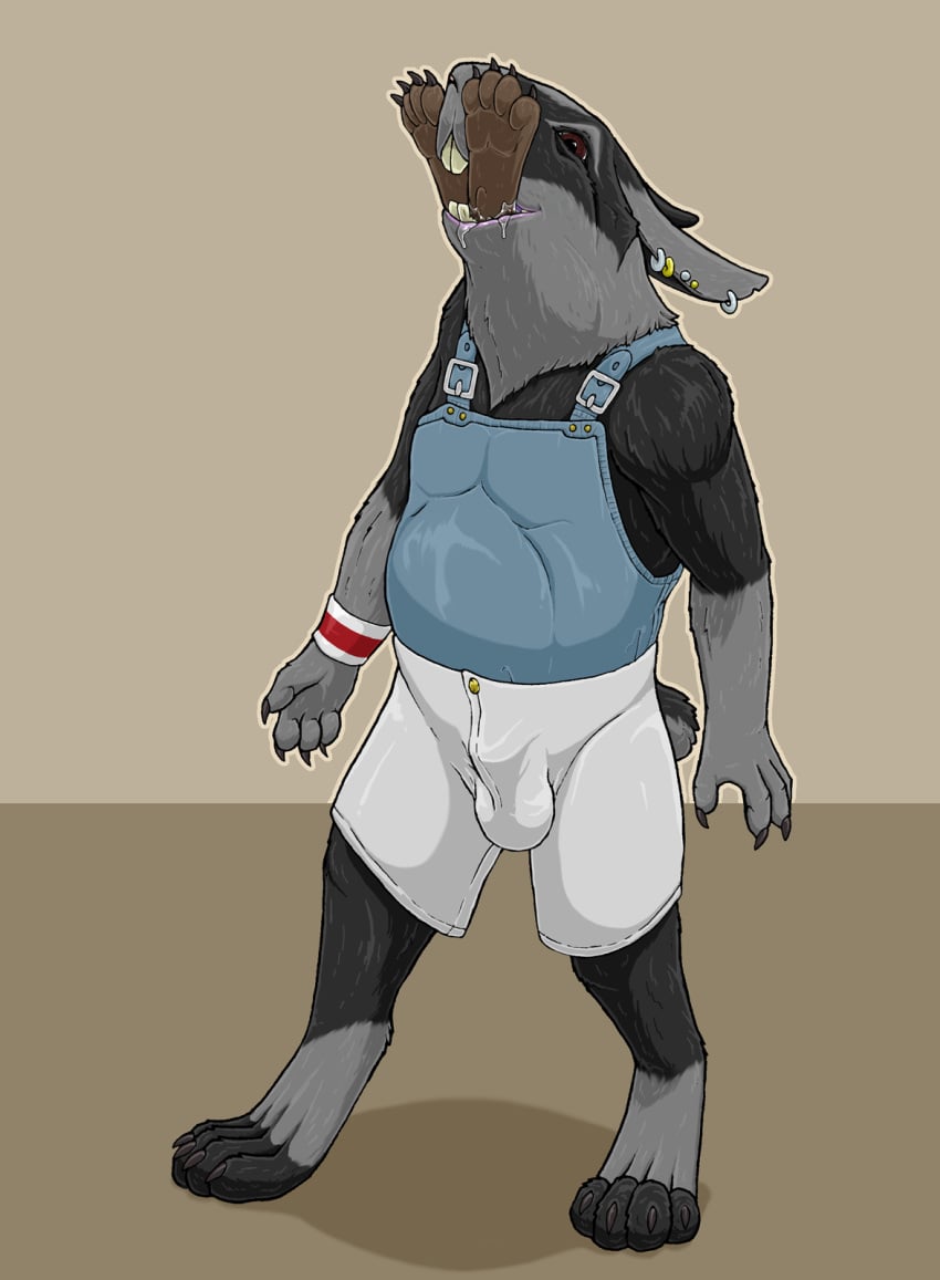 2024 almost_fully_inside anthro anthro_pred balls_outline biped black_body black_fur bottomwear brown_eyes bulge claws clothed clothing detailed_bulge duo ear_piercing ear_ring fully_clothed fur genital_outline grey_body grey_fur head_first hi_res lagomorph leporid male male_pred mammal oral_vore paws penis_outline piercing rabbit ring_piercing shorts simple_background stomach_bulge strega suspenders tan_background vore