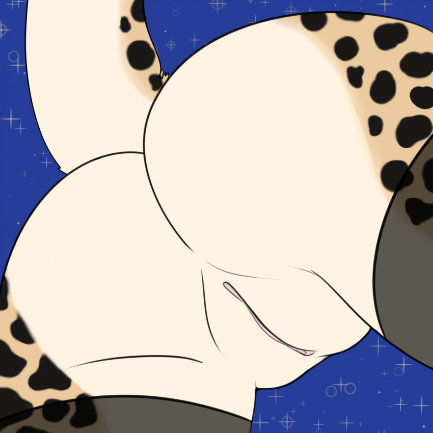 2018 anthro ass biped cheetah clothing feline female fur humanoid_pussy leggings legwear mammal mepan nude pussy raised_tail rear_view simple_background spots spotted_fur upskirt zeliska