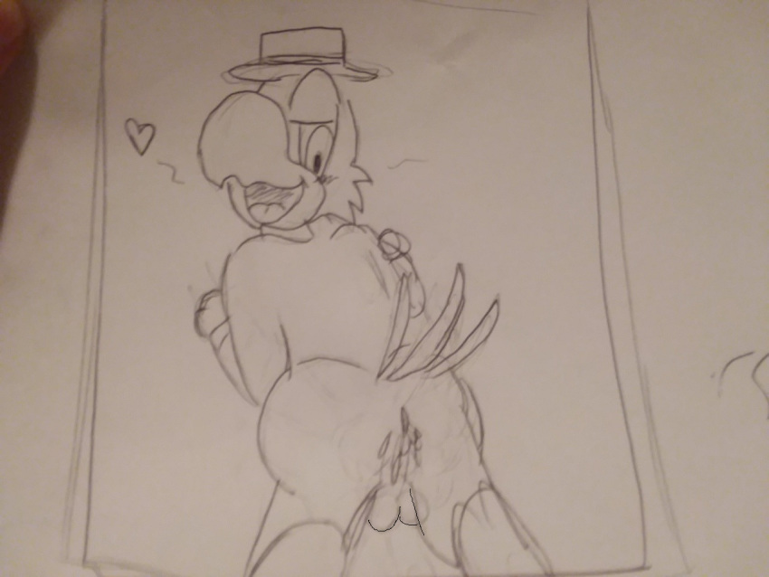 anthro anus balls cum disney furry jose_carioca male_focus male_only no_humans parrot saludos_amigos the_three_caballeros