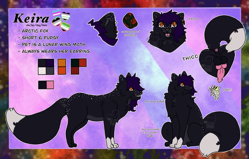 agender_pride_colors alternate_form anus arctic_fox aromantic_pride_colors asexual_pride_colors ass big_butt black_body black_fur canid canine dipstick_tail ear_piercing ear_ring english_text feral fox fur gem genitals hi_res keira_(kekefoxx) kekefoxx_(artist) leg_markings lgbt_pride male mammal markings model_sheet orange_eyes palette penis piercing pride_colors ring_piercing socks_(marking) solo solo_focus tail tail_markings text thick_thighs transgender_pride_colors true_fox white_markings