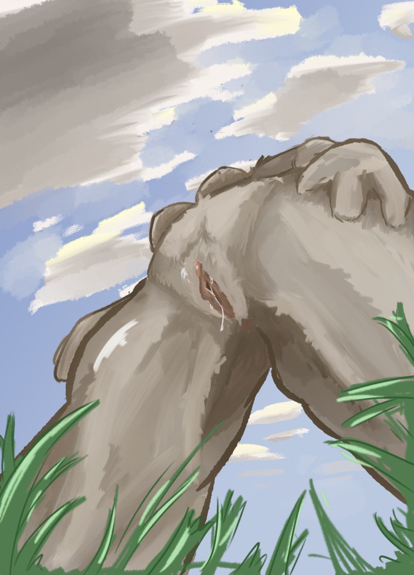 anthro bodily_fluids bovid breasts caprine cloud female fur genital_fluids genitals grass grey_body grey_fur hi_res leewonteey low-angle_view mammal nude plant pussy sheep sky solo thick_thighs vaginal_fluids wide_hips