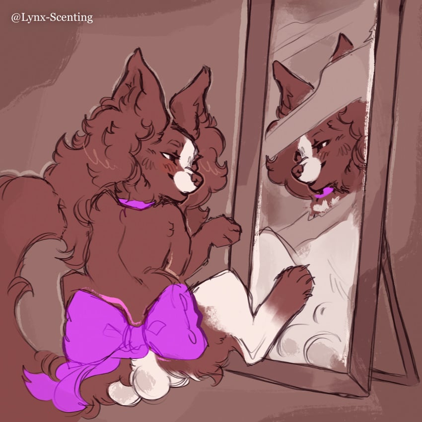 admiring_self animal_genitalia balls big_balls bow_ribbon canid canine canis chihuahua coconut_(cokotheschnoot) collar domestic_dog femboy feral genitals hi_res lynx_scenting male mammal mirror mixed_breed papillon reflection sheath small_but_hung solo toy_dog