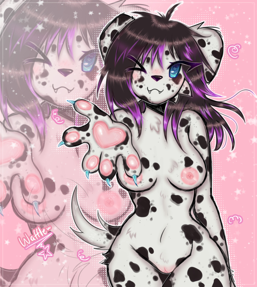 absurd_res animal_humanoid anthro areola ass blue_eyes breasts brown_hair canid canid_humanoid canine canine_humanoid canis chibi claws clothing cute_fangs dalmatian digital_drawing_(artwork) digital_media_(artwork) dog_humanoid domestic_dog erect_nipples fangs fangs_bared female finger_claws genitals hair hi_res humanoid legwear long_hair mammal mammal_humanoid markings medium_breasts nipple_fetish nipples pawpads paws pink_areola pink_nipples pink_pussy purple_hair pussy smile solo spots spotted_markings teeth thick_thighs wafflesita_(artist)