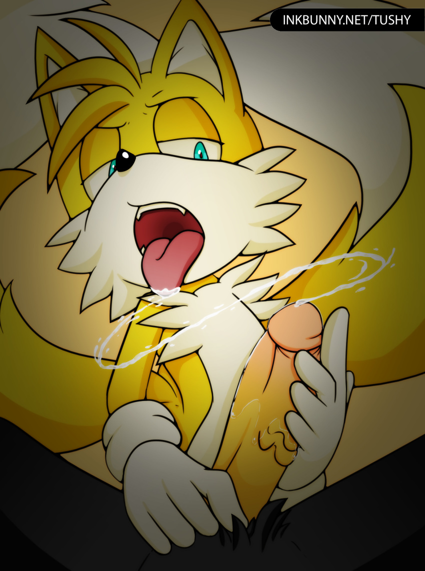 anthro balls cum cum_in_mouth furry gay handjob oral penis pov shadow_the_hedgehog sonic_(series) tails tushy_artist yaoi