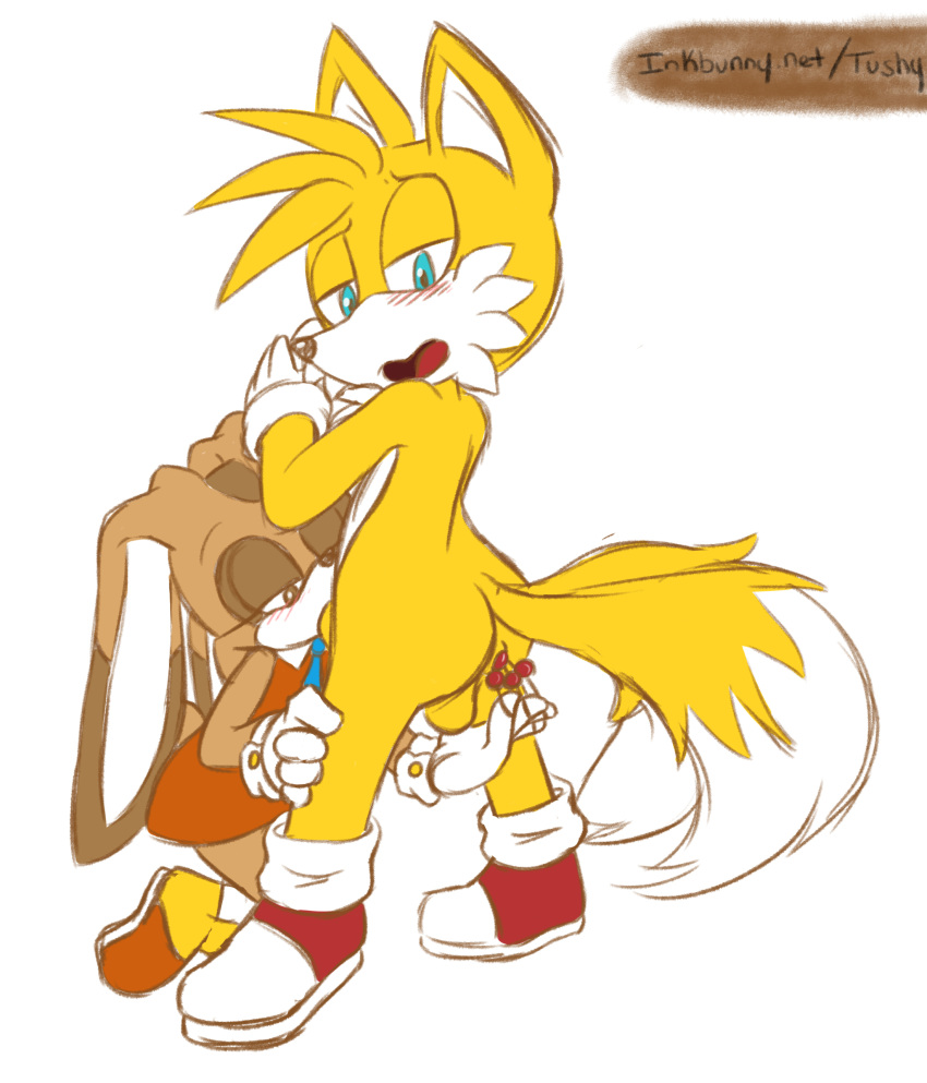 anal anal_beads anus ass balls cream_the_rabbit oral sonic_(series) tails tushy_artist