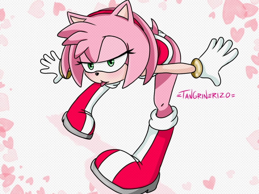 amy_rose boots pink_body red_boots sonic_(series) upskirt white_panties