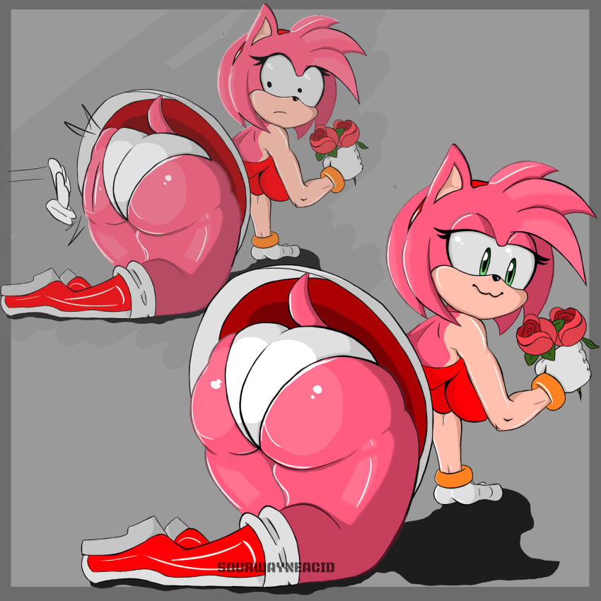 Amy Rose (Sonic (Series)) Rule 34 Image