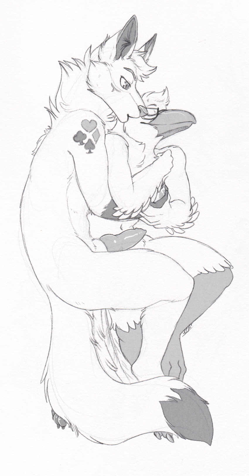 anthro avian bird breasts canine corvid couple_(disambiguation) duo embrace erection female fox greyscale grope hug iko kissing knot love male mammal monochrome nude raven_(bird) satu_corvidae simple_background straight vats white_background