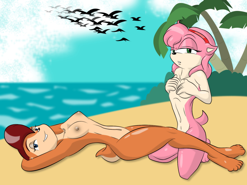 4:3 amy_rose anthro beach breasts brown_fur cloud detailed_background duo female fur hedgehog hi_res mammal nipples nude outside pink_body sally_acorn sand seaside sky sonic_(series) thestarwarrior