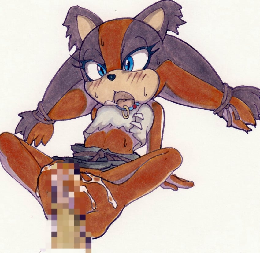 anon censored_penis cum ejaculation footjob kinu_(artist) penis sonic_(series) sonic_boom sticks_the_badger