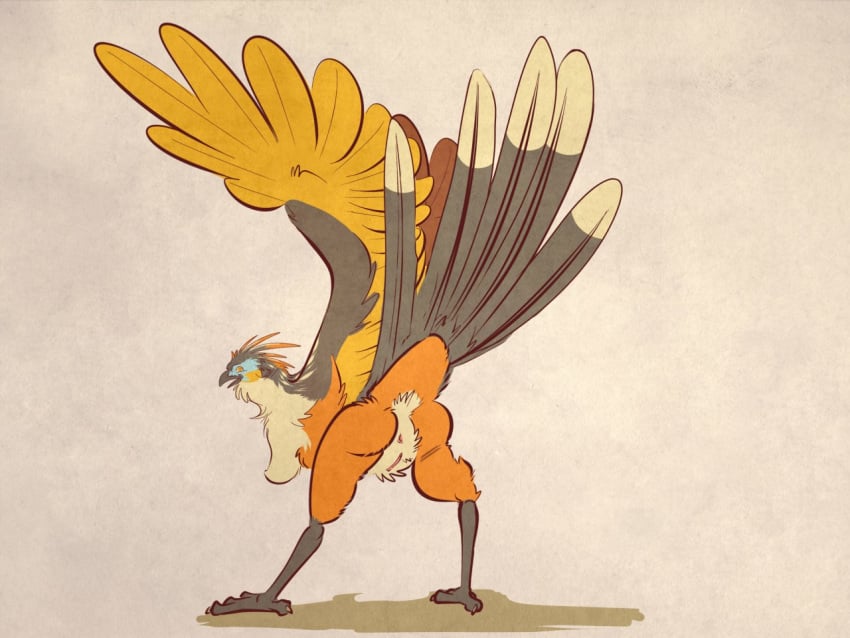 2016 4_toes anisodactyl anus ass avian beak bent_over biped bird bird_feet blue_feathers blue_markings breasts brown_feathers brown_wings busty_feral claws countershade_torso countershading crest dock eye_markings facial_markings feather_tuft feathered_crest feathered_wings feathers female feral full-length_portrait grey_beak grey_claws grey_feathers grey_tail grey_wings hanging_breasts hoatzin kaputotter looking_at_viewer looking_back markings medium_breasts multicolored_feathers multicolored_wings neck_tuft non-mammal_breasts open_beak open_mouth open_smile orange_eyes orange_feathers orange_markings pink_anus pink_pussy portrait presenting presenting_hindquarters pussy raised_arm rear_view shadow simple_background smile solo spread_legs spreading standing tail tail_feathers talons tan_background tan_countershading tan_feathers tan_tail toe_claws toes tuft two_tone_tail wide_stance winged_arms wings yellow_feathers yellow_wings