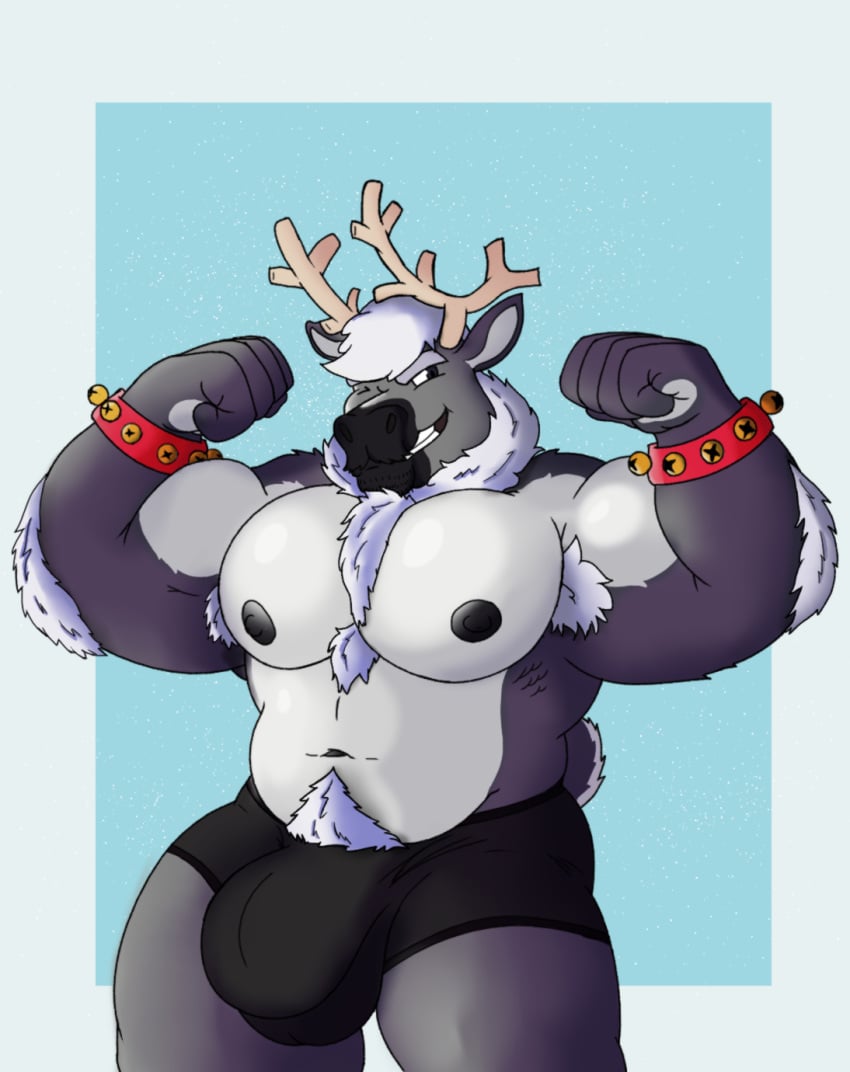 anthro arm_hair armpit_hair bell biceps big_breasts big_bulge body_hair boxers_(clothing) bracelet breasts bulge chest_hair clothing comida_shina deer donner fan_character fur grey_body grey_fur hi_res horn jewelry jingle_bell larger_male male male/male mammal musclegut muscular muscular_male new_world_deer nipples pubes reindeer size_difference slightly_chubby solo thick_thighs underwear white_body white_fur