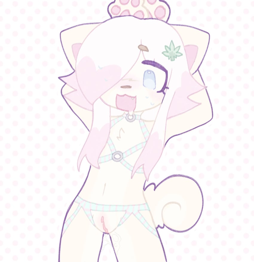 :3 blonde_hair blue_eyes bondage bondage_gear bondage_harness brown_nose canine clit dog_boy dog_ears dog_girl dog_tail drooling drooling_tongue fettie_(oc) furry fursona hairclip legs_apart nipples_covered oc open_mouth pastel pastel_colors pawpads paws pink_hair puppyboy puppygirl pussy pussy_juice pussy_open pussy_out short_hair sweating tied_hands tied_up vanillabambi weed yellow_fur