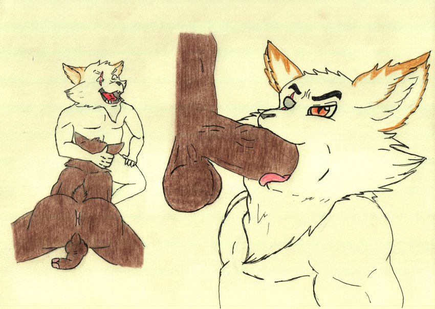 2018 anthro balls crazy_company duo erection eye_scar fellatio fur humanoid_penis kled league_of_legends male mammal nude open_mouth oral penis riot_games scar sex tongue tongue_out traditional_media_(artwork) video_games yaoi yordle