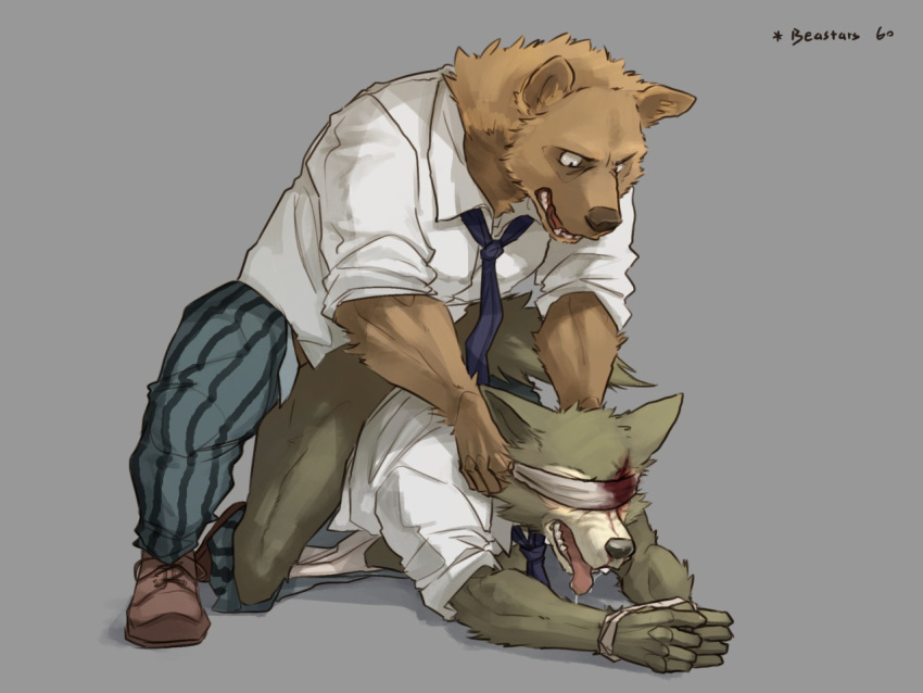 2boys 496549736 all_fours anal anal_sex anthro bear beastars blindfold blood canine clothed clothed_sex clothing doggy_style duo forced forced_yaoi from_behind_position fur furry grey_background legoshi_(beastars) male male_only mammal muscular partially_clothed rape restrained riz_(beastars) sex simple_background tongue tongue_out wolf yaoi