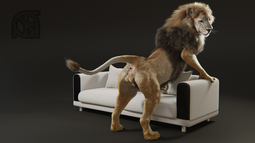 3d akili animal_genitalia anthro anus ass backsack balls cosmiclife feline feral fur lion looking_at_viewer male mammal pinup pose presenting presenting_anus presenting_hindquarters raised_tail realistic semi-anthro sofa solo spread_legs spreading standing whiskers