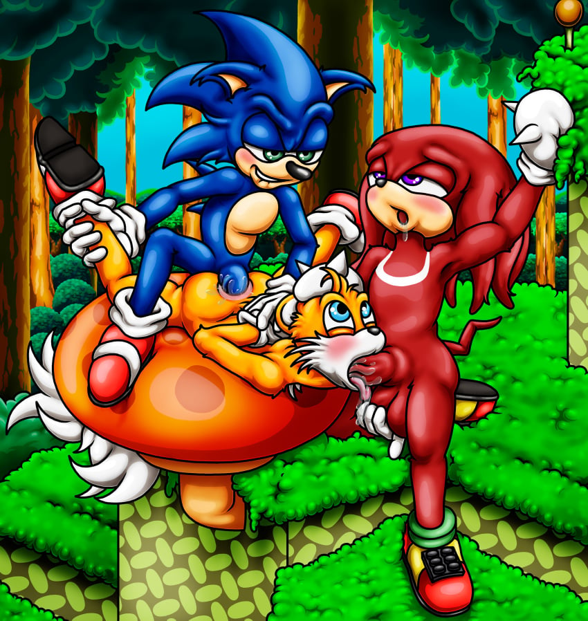 anal anus ball_fondling balls furry furry_only gay happyanthro knuckles_the_echidna male_only no_humans oral penis sonic_(series) sonic_3 sonic_the_hedgehog sonic_the_hedgehog_(series) sonic_the_hedgehog_3 spitroast tails team_sonic threesome yaoi