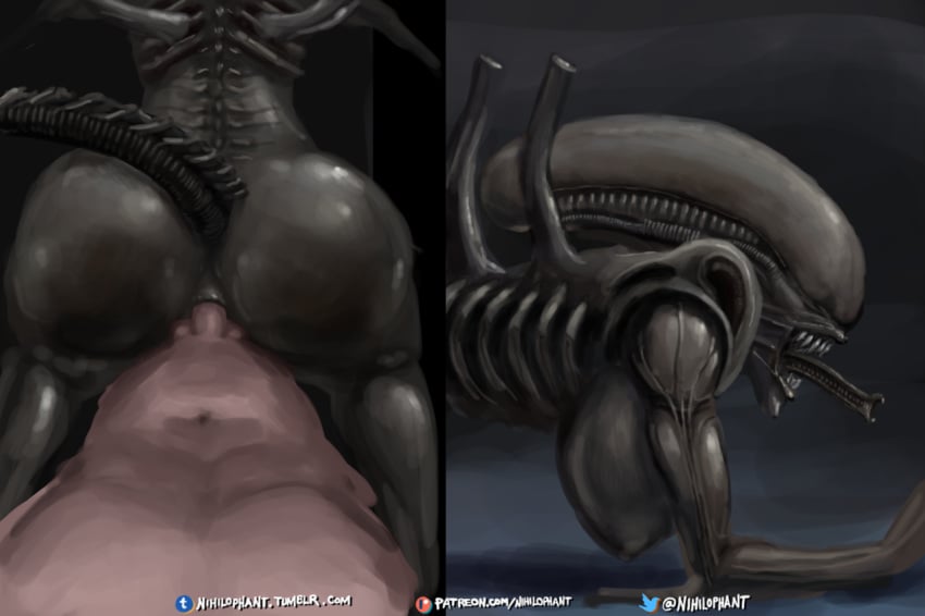 1boy 1boy1girl 1girls 2018 3d abs alien alien/human alien_(franchise) alien_girl all_fours alternate_version_at_source anal ass balls big_breasts big_butt black_skin black_tail breasts claws dangerous doggy_style duo enjoying eyeless fangs female female_xenomorph feral_penetrated from_behind_position human human_on_humanoid humanoid inner_mouth interspecies lips lying male male/female male_human/female_alien male_human/female_humanoid mammal monster muscular navel nihilophant nipples nude open_mouth penetration penis presenting raised_tail seductive sex sharp_teeth shiny smile teeth text thick_thighs wide_hips xenomorph