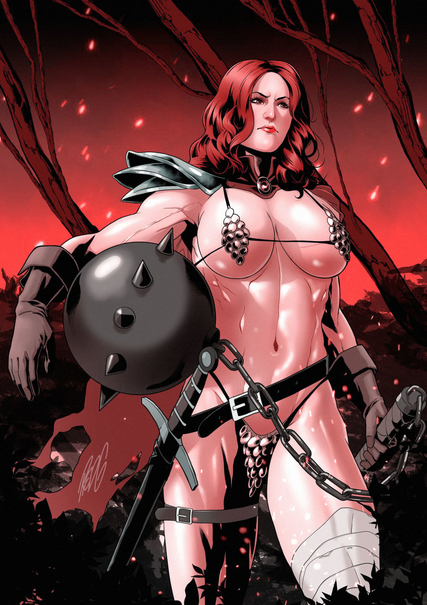 abs bikini_armor breasts chainmail_bikini female_only large_breast muscles muscular_female navel red_hair red_sonja red_sonja_(comics) redg redgvicente